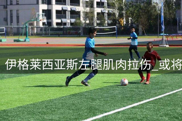 伊格莱西亚斯左腿肌肉拉伤 或将休战14天