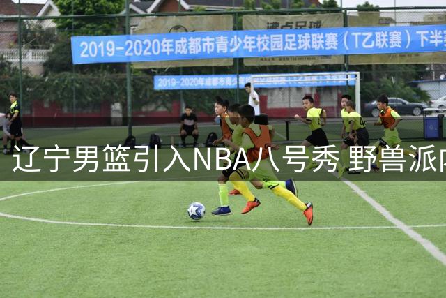 辽宁男篮引入NBA八号秀 野兽派内线克里斯联手赵继伟冲击总冠军